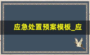 应急处置预案模板_应急预案范文格式