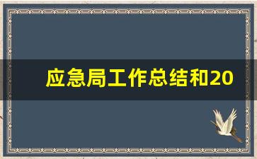 应急局工作总结和2021年计划_回顾2019展望2020