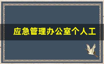 应急管理办公室个人工作总结_年度工作总结报告范文