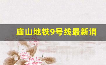 庙山地铁9号线最新消息_武汉江夏庙山坐几号线