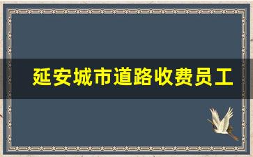 延安城市道路收费员工资