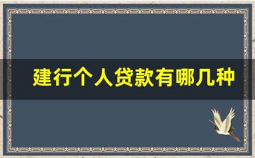 建行个人贷款有哪几种_有十几笔网贷,银行能贷款吗