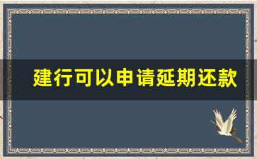 建行可以申请延期还款吗