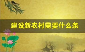 建设新农村需要什么条件