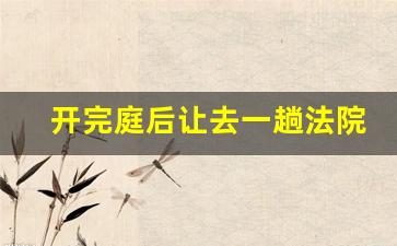 开完庭后让去一趟法院_法院开庭后法官会调查事实情况吗