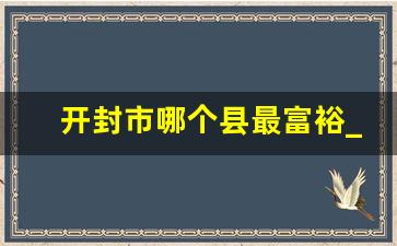 开封市哪个县最富裕_开封四大富人区