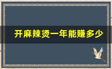 开麻辣烫一年能赚多少