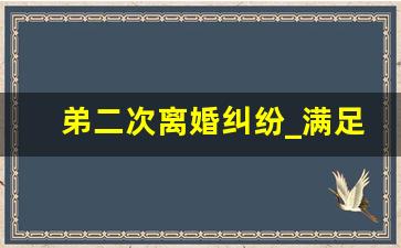 弟二次离婚纠纷_满足三条必离婚