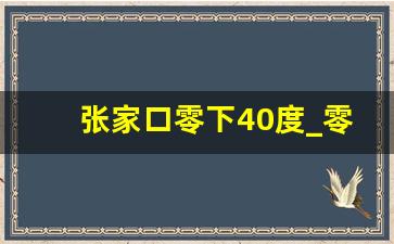 张家口零下40度_零下300度存在吗