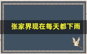 张家界现在每天都下雨怎么玩_张家界未来40天天气趋势