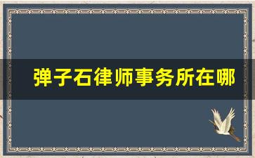 弹子石律师事务所在哪里