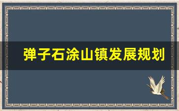 弹子石涂山镇发展规划