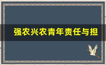 强农兴农青年责任与担当_三农情怀论文1500字