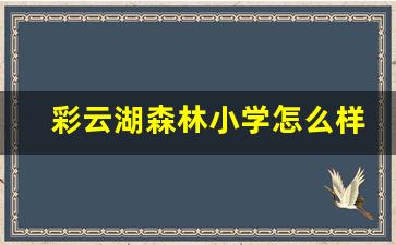 彩云湖森林小学怎么样