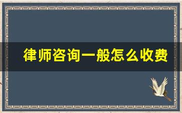 律师咨询一般怎么收费标准_1小时的律师咨询费