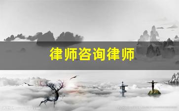 律师咨询律师