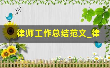 律师工作总结范文_律师述职报告