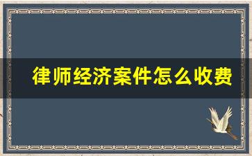 律师经济案件怎么收费_经济案件立案标准