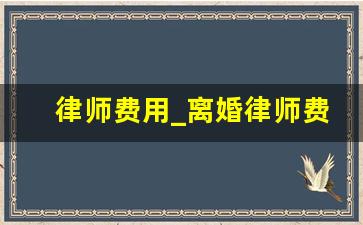 律师费用_离婚律师费用收取标准2023