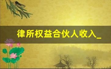 律所权益合伙人收入_律所合伙人需要达到什么收入