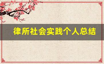 律所社会实践个人总结_律所实践实践报告个人小结