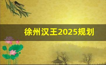 徐州汉王2025规划