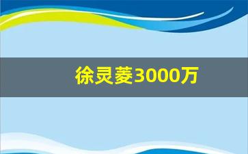 徐灵菱3000万