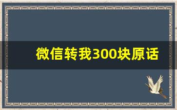 微信转我300块原话