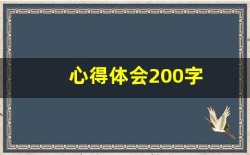 心得体会200字