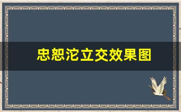 忠恕沱立交效果图