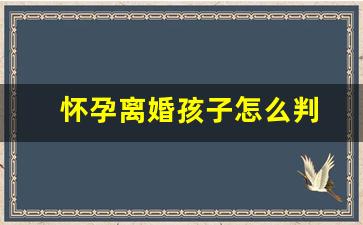 怀孕离婚孩子怎么判