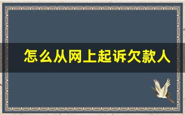 怎么从网上起诉欠款人_起诉要对方身份证怎么办