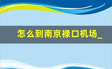 怎么到南京禄口机场_南京禄口机场去南京站