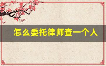 怎么委托律师查一个人的身份信息_律师可以随便查一个人的所有信息吗