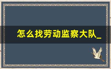 怎么找劳动监察大队_欠工资不给怎么办最有效的方法