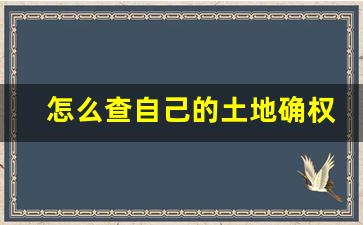 怎么查自己的土地确权