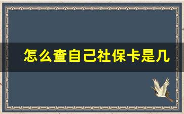 怎么查自己社保卡是几档