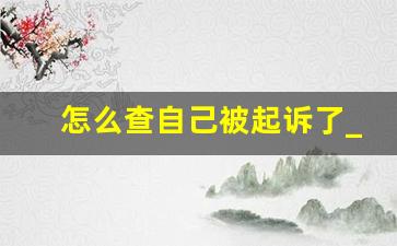 怎么查自己被起诉了_被网贷异地起诉微信被限制支付