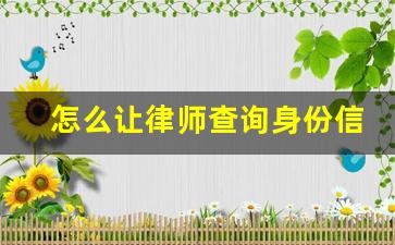 怎么让律师查询身份信息