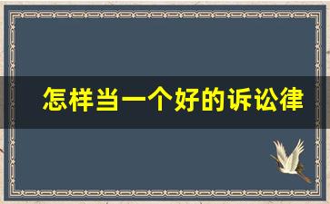 怎样当一个好的诉讼律师_非诉律师哪个方向好