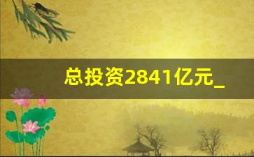 总投资2841亿元_总投资607亿项目开工