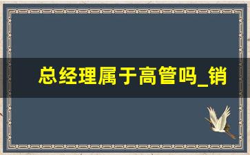 总经理属于高管吗_销售总监是公司高管吗