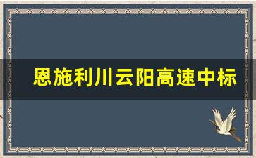 恩施利川云阳高速中标_恩施新建高速公路项目