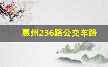 惠州236路公交车路线图