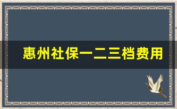 惠州社保一二三档费用各是多少钱_单位一般交社保是几档