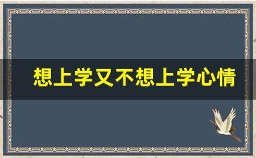 想上学又不想上学心情复杂怎么办_孩子14岁了厌学不上学怎么办