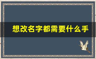 想改名字都需要什么手续