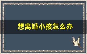 想离婚小孩怎么办