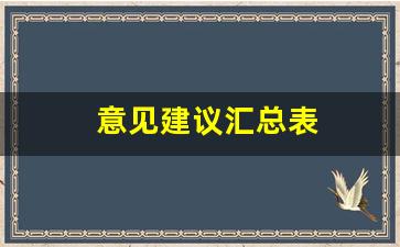 意见建议汇总表