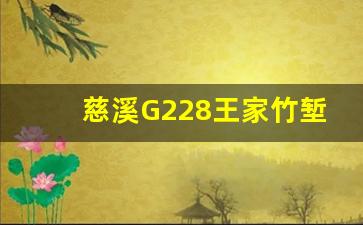 慈溪G228王家竹堑段走向